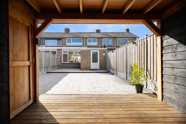 Tuin 4.jpg